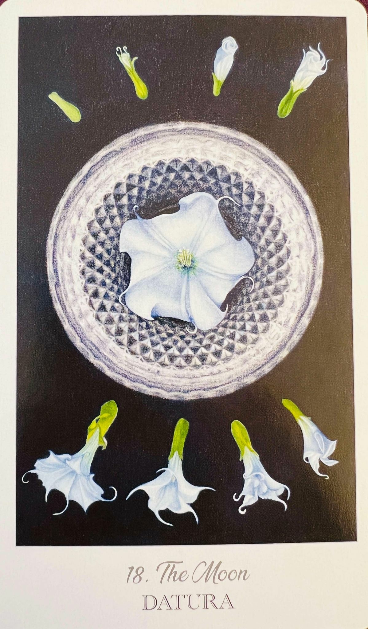 月亮曼陀羅 月亮曼陀羅