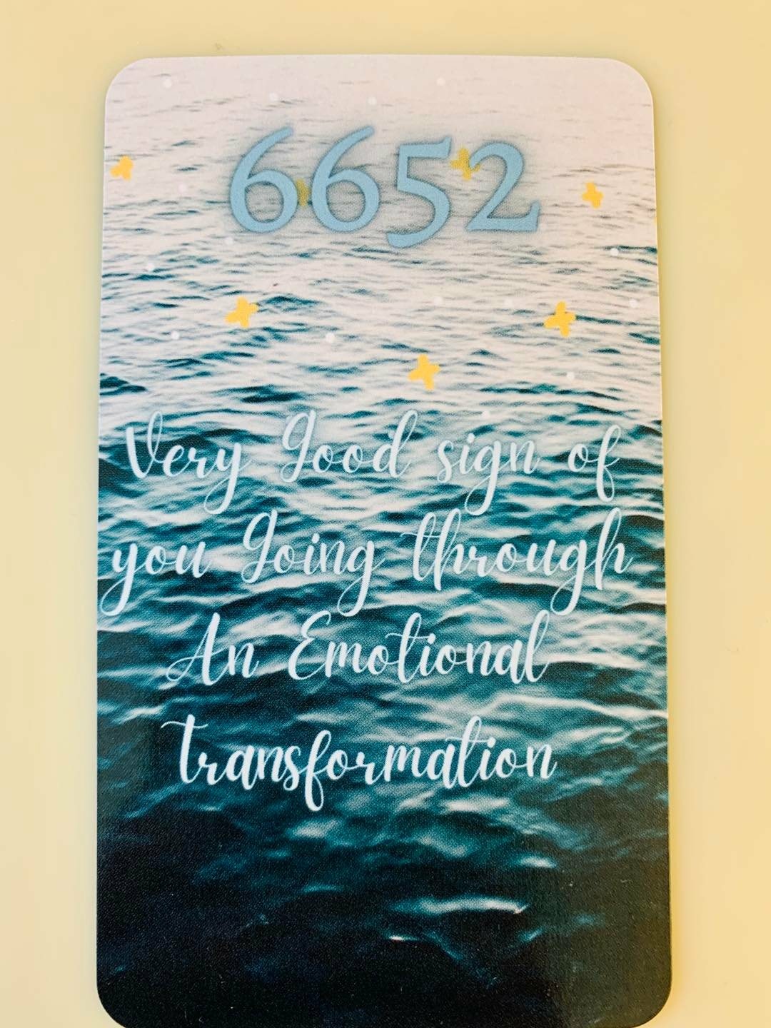 277753158_4982169095153553_4916450265902342867_n